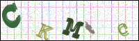 Vérification par image